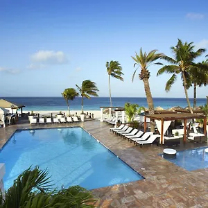 Divi 4* Aruba